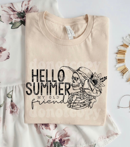 Hello Summer My Old Friend adult unisex shirt